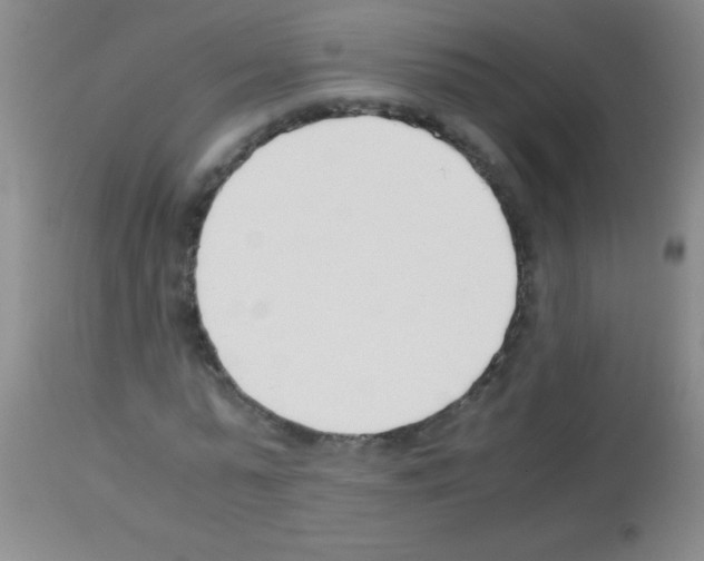 X0000113150775200910161219