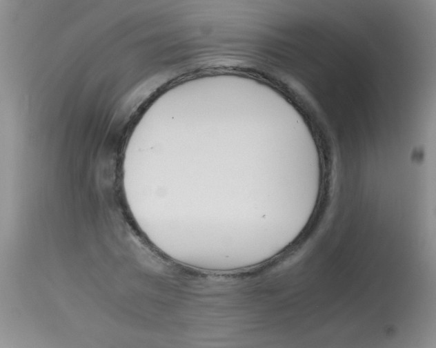 X0000113150777200910161219