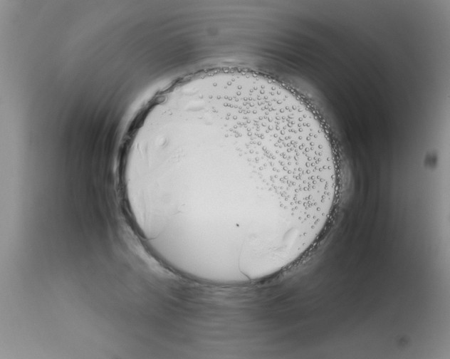 X0000113150780200910161219