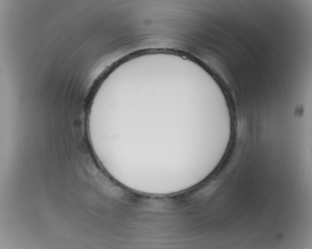 X0000113150781200910161219