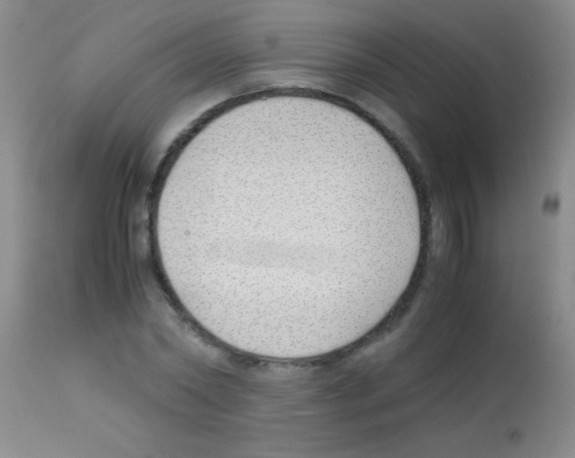 X0000113150782200910161219