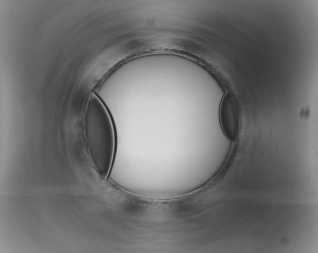 X0000113150785200910161219