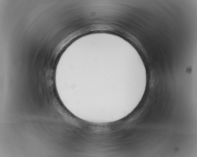 X0000113150786200910161219