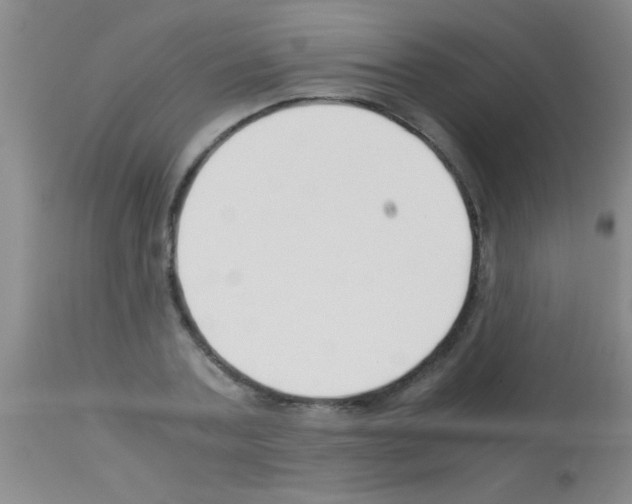 X0000113150787200910161219