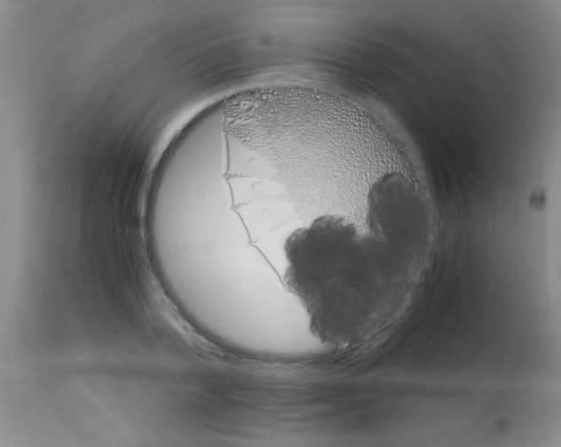 X0000113150788200910161219