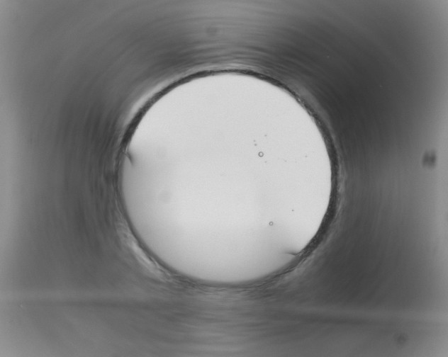 X0000113150789200910161219