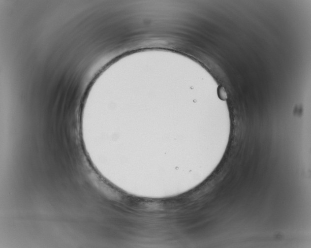 X0000113150792200910161219