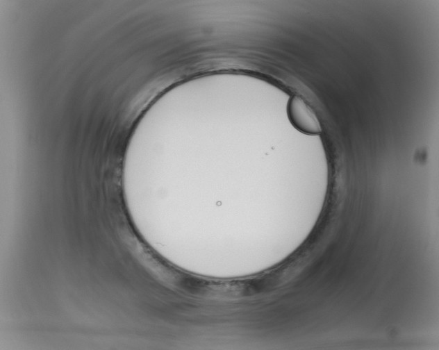 X0000113150793200910161219