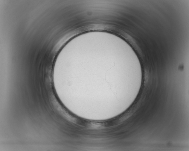 X0000113150794200910161219