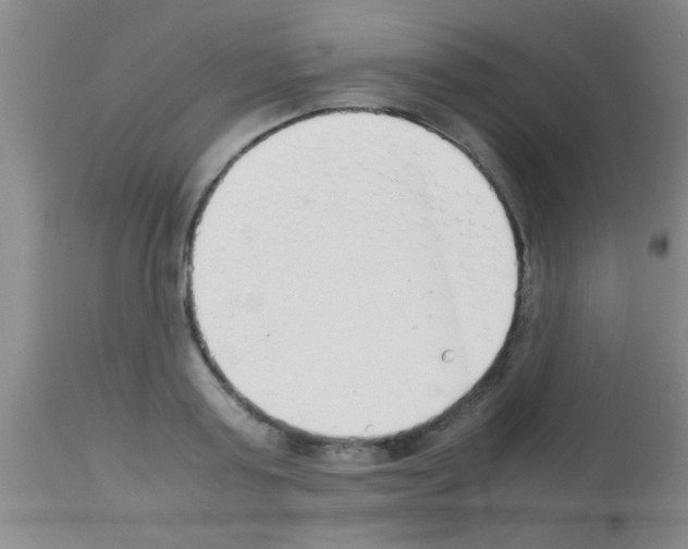 X0000113150795200910161219