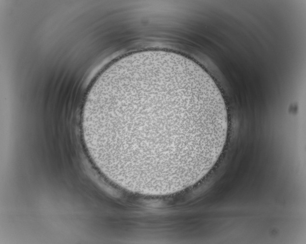 X0000113150798200910161219