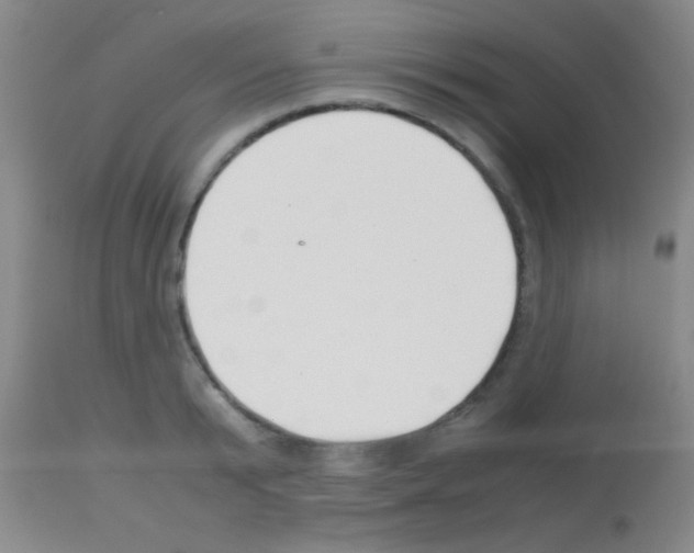 X0000113150799200910161219