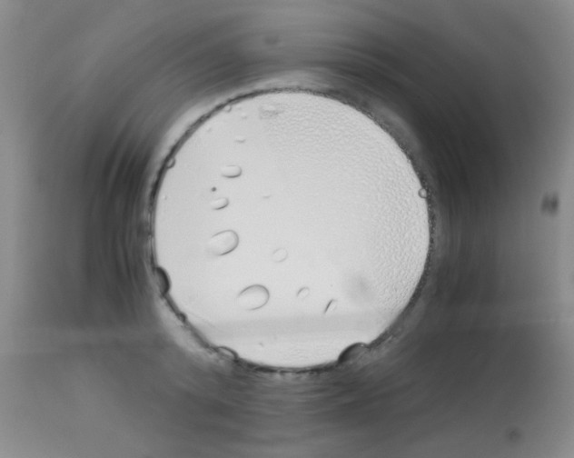 X0000113150800200910161219