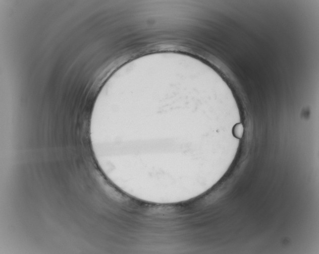 X0000113150801200910161219