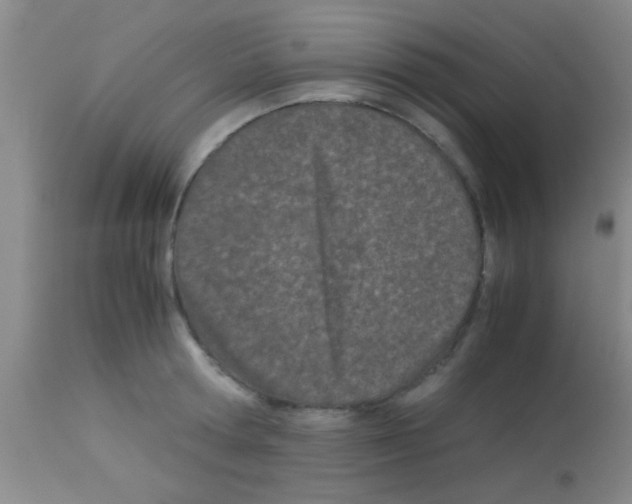 X0000113150802200910161219