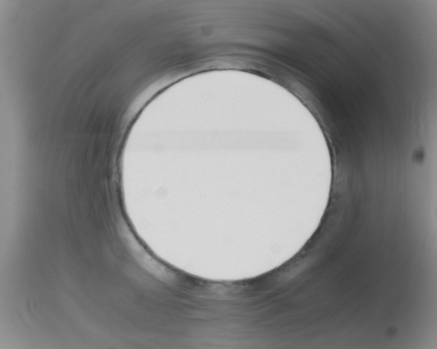 X0000113150803200910161219