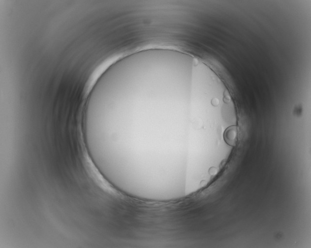 X0000113150804200910161219