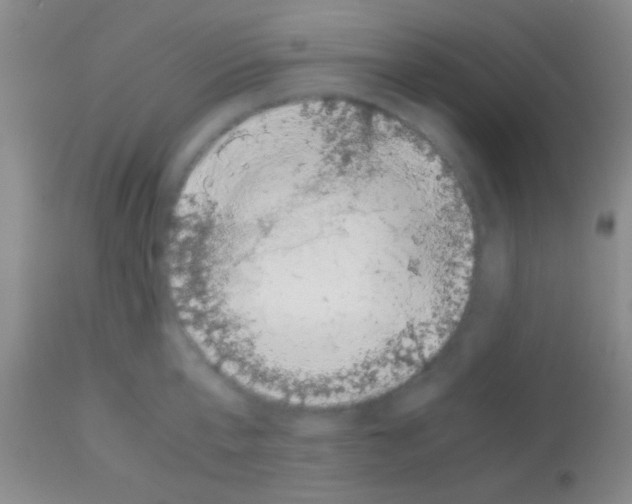 X0000113150807200910161219