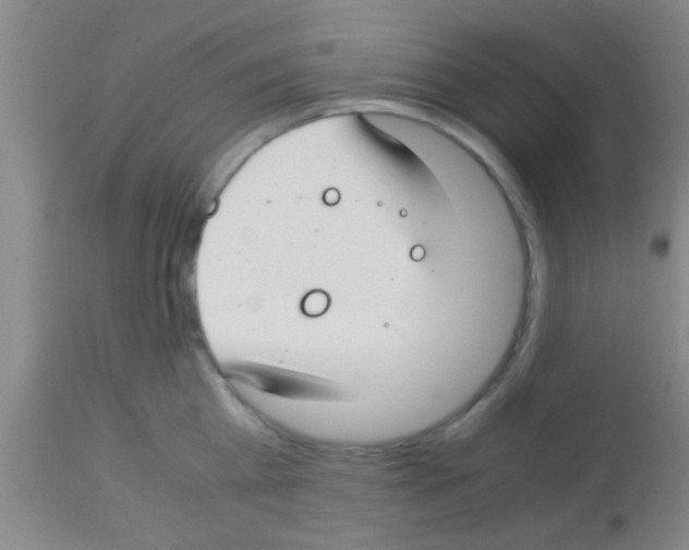 X0000113150809200910161219