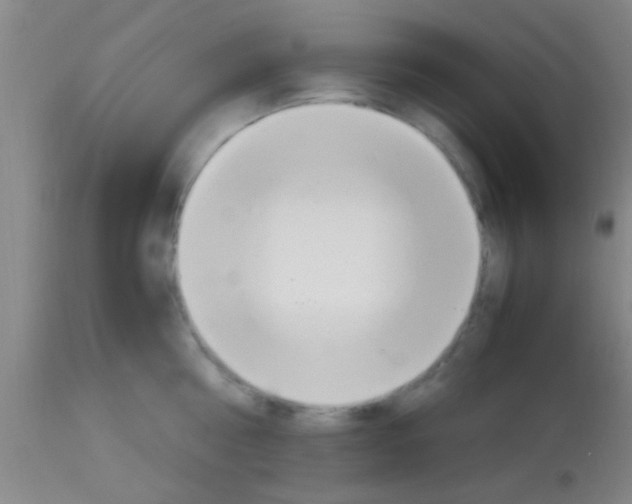 X0000113150810200910161219