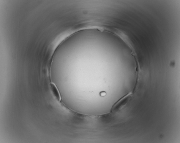 X0000113150813200910161219