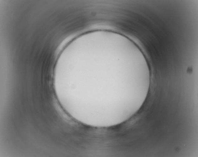 X0000113150815200910161218