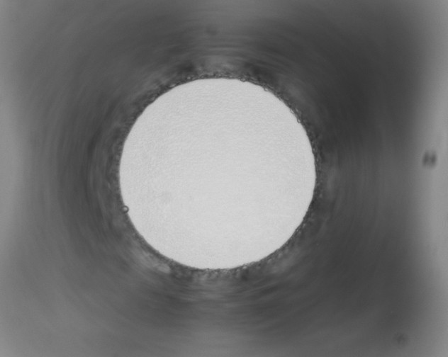 X0000113150817200910161218