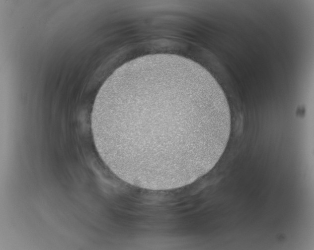 X0000113150819200910161218