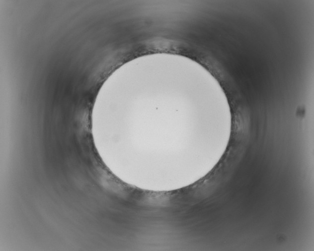 X0000113150820200910161218