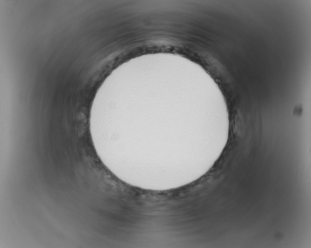 X0000113150821200910161218