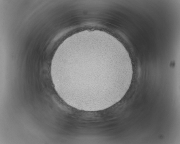 X0000113150823200910161218