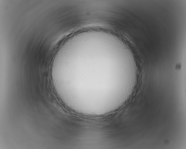 X0000113150824200910161218