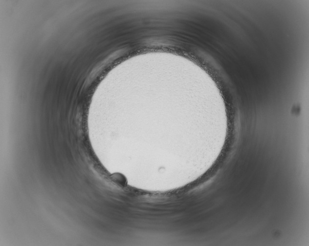 X0000113150825200910161218