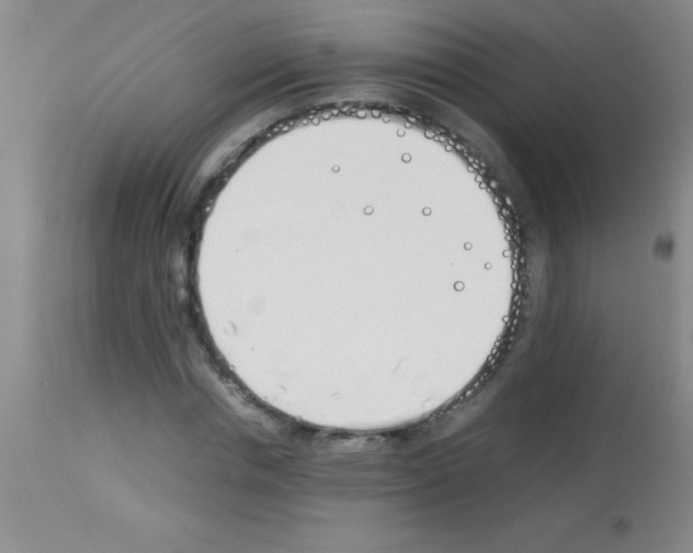 X0000113150826200910161218