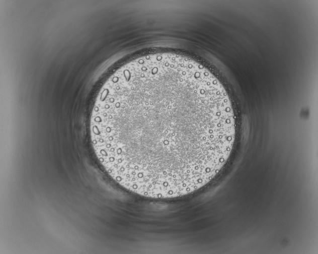 X0000113150829200910161218