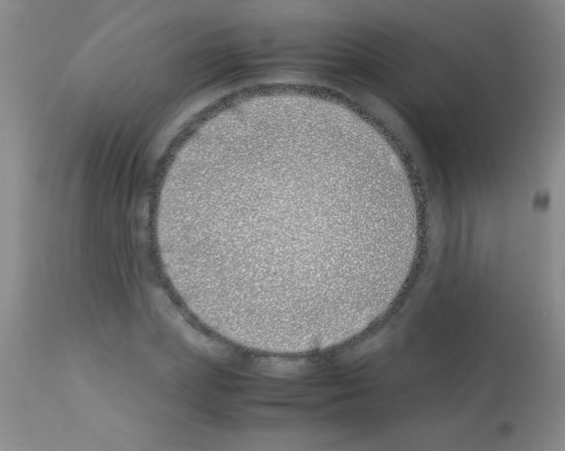 X0000113150831200910161218