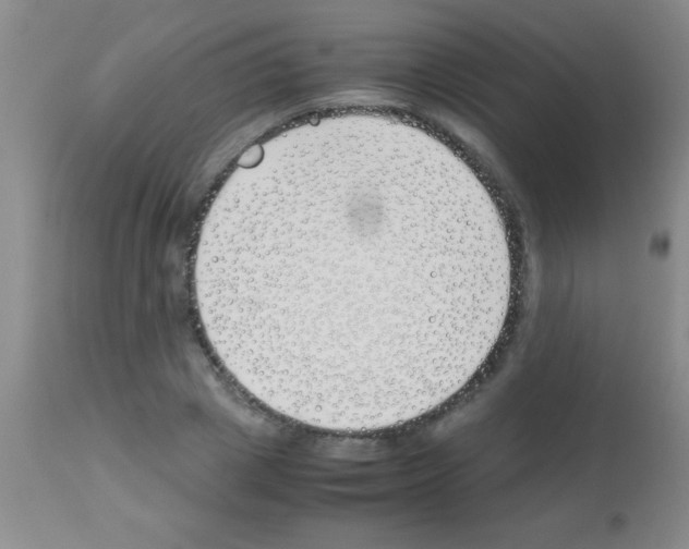 X0000113150833200910161218