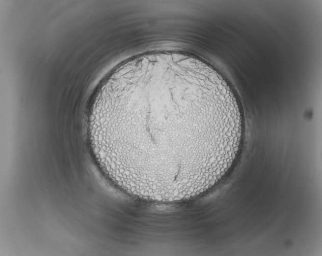 X0000113150835200910161218