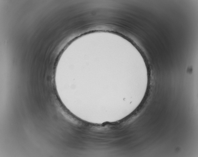 X0000113150837200910161218