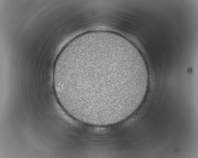 X0000113150839200910161218