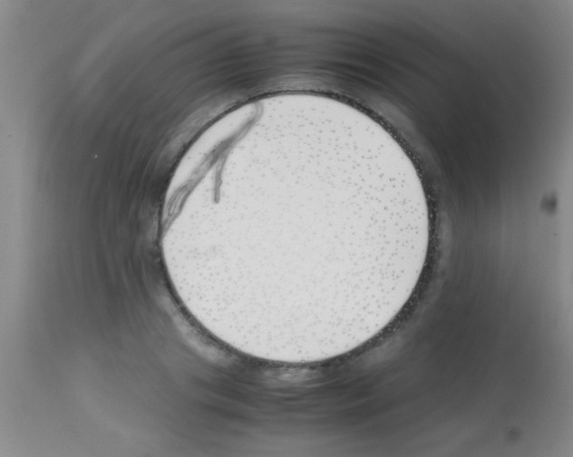 X0000113150841200910161218