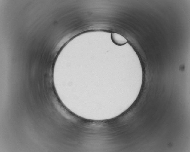 X0000113150842200910161218