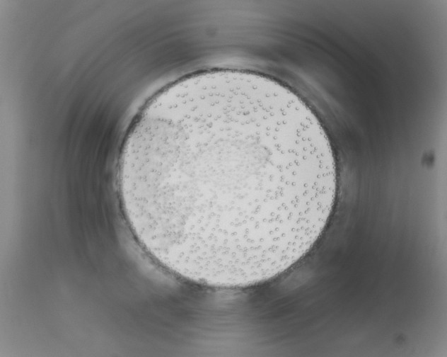 X0000113150848200910161218