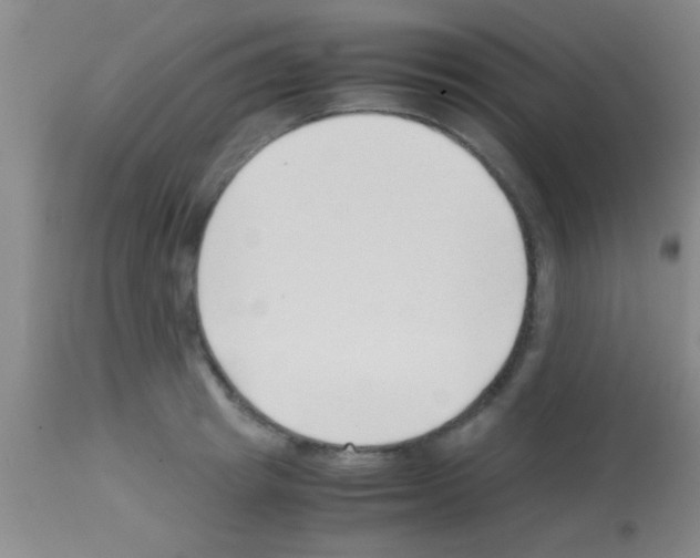 X0000113150849200910161218