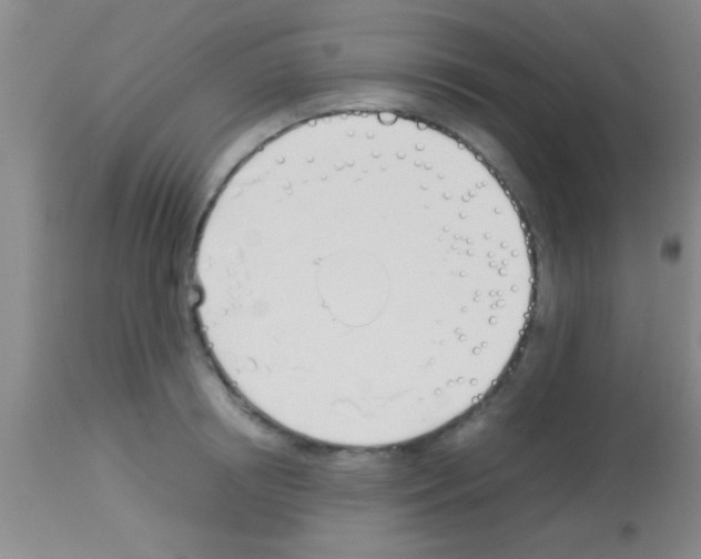 X0000113150850200910161218