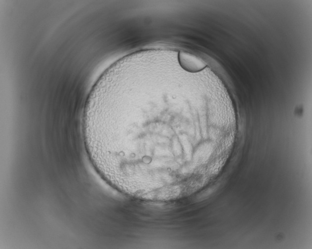 X0000113150855200910161218