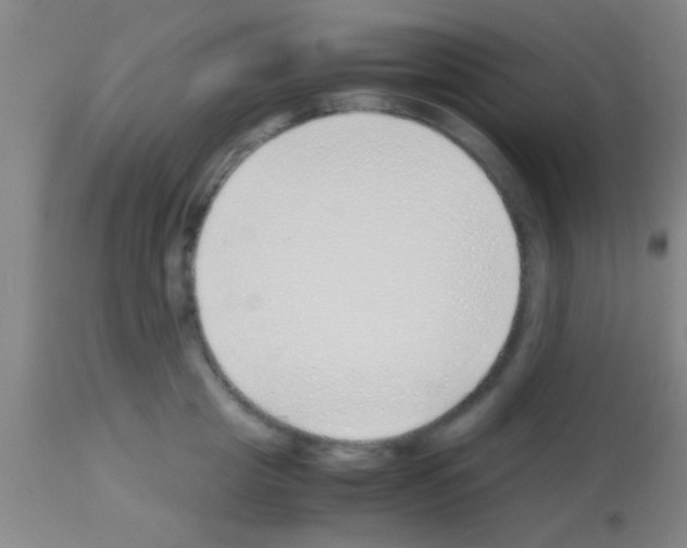 X0000113150857200910161218