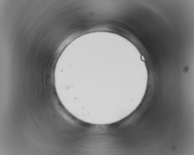 X0000113150858200910161218