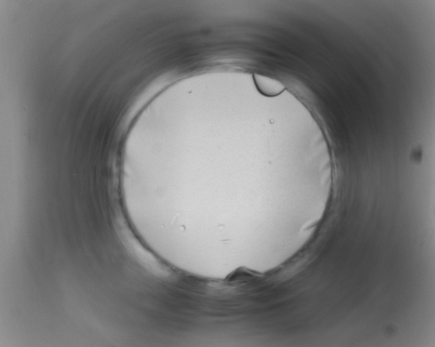 X0000113150859200910161218