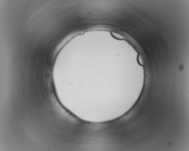 X0000113150860200910161218